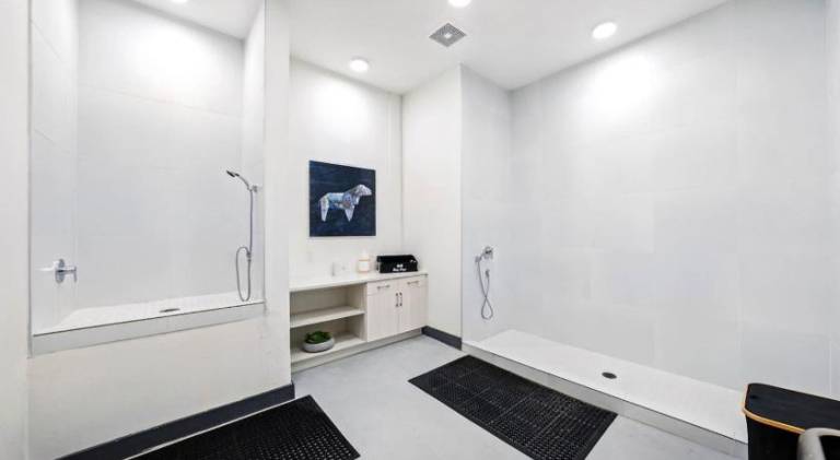 Beautiful holiday apartment | Dogs allowed — photo 4