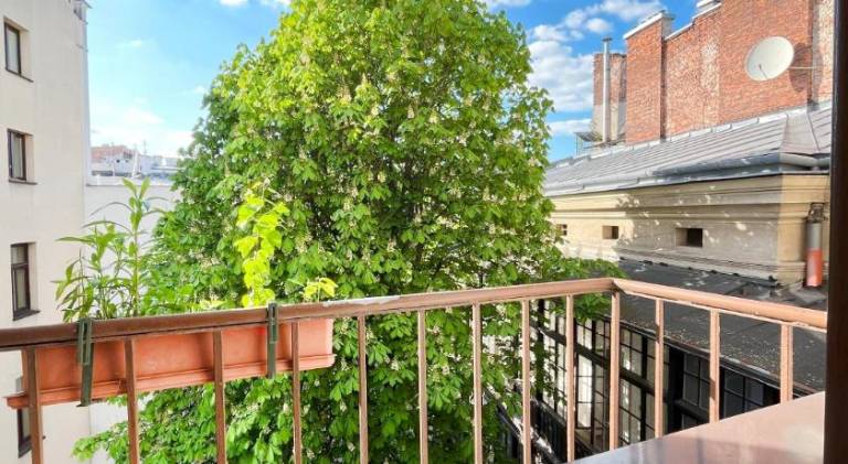 Wonderful rental apartment | Near Main Square | Pet-friendly — photo 4