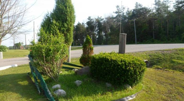 foto41