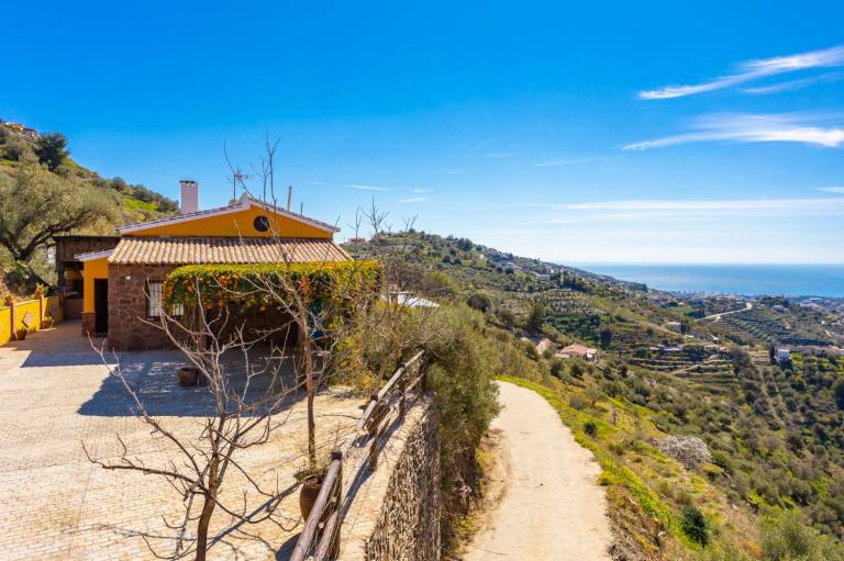 Villa  Torrox