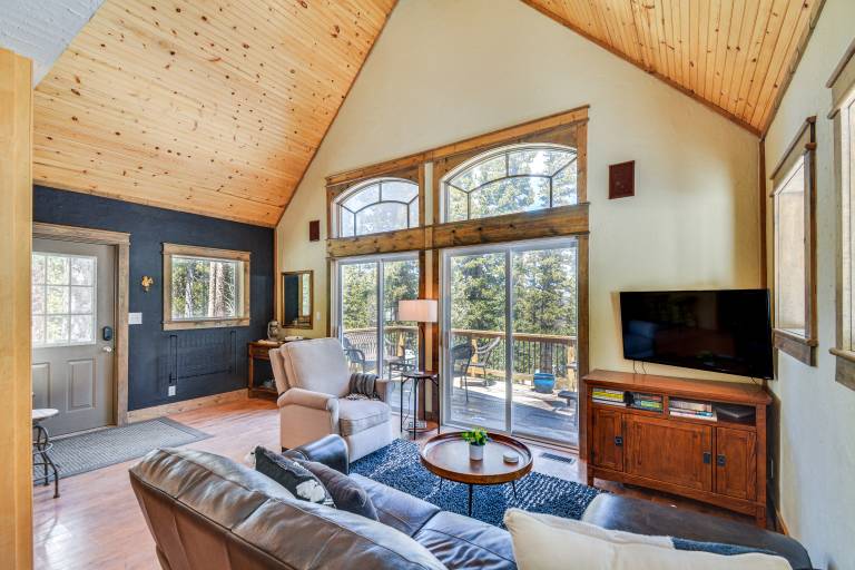 24-0139 Cabin in Fairplay: Close to Trails! — photo 5