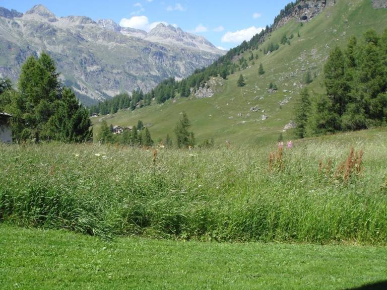 foto20