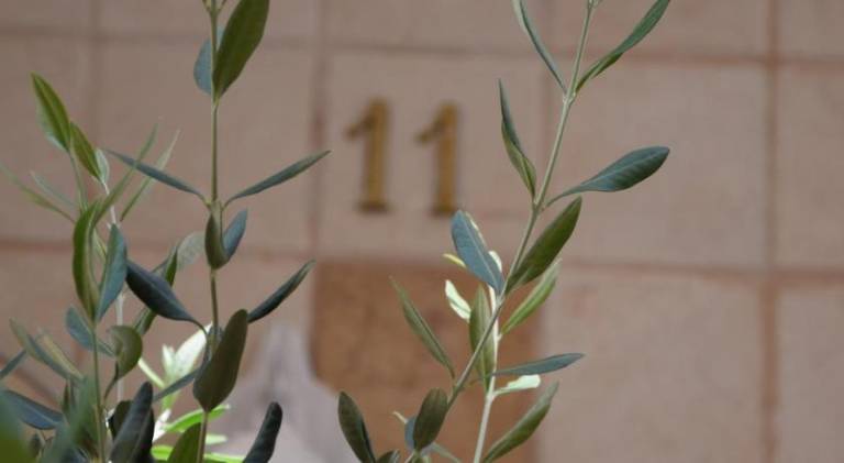 House  Mola di Bari
