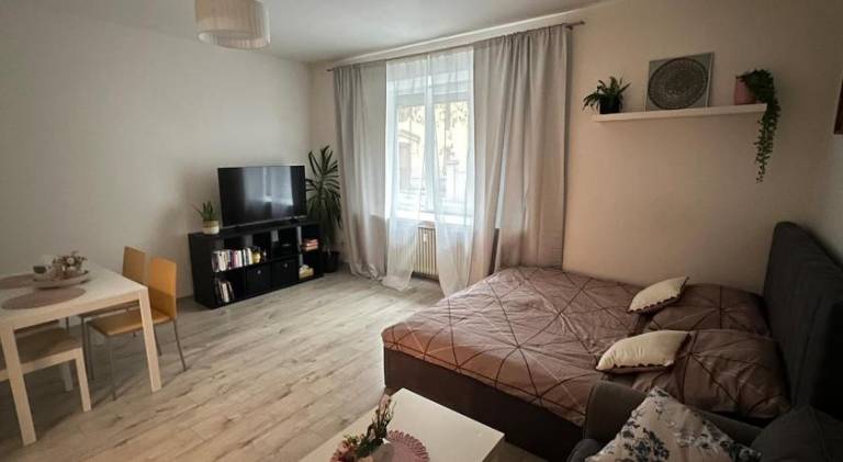 Holiday apartment | Next to Bratislava Castle | Dogs allowed in Bratislava