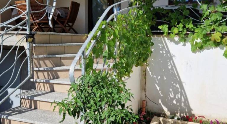 Nice holiday apartment | Pet-friendly in Budoni