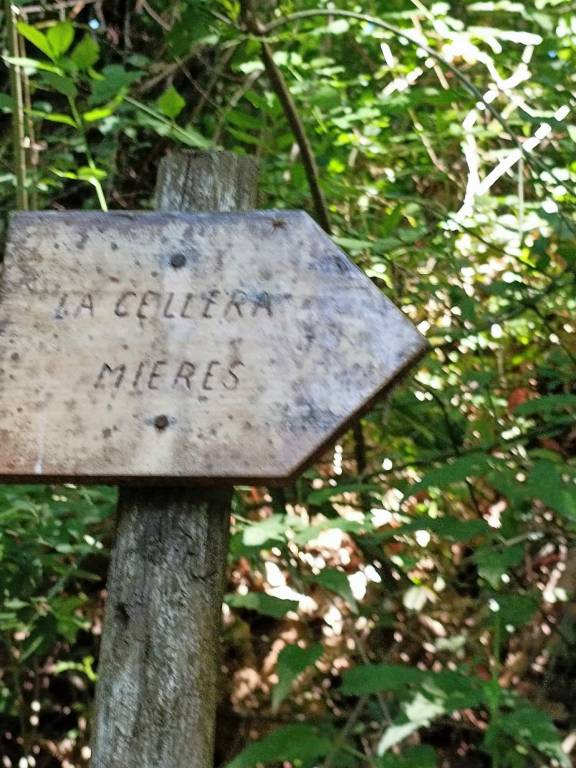foto45