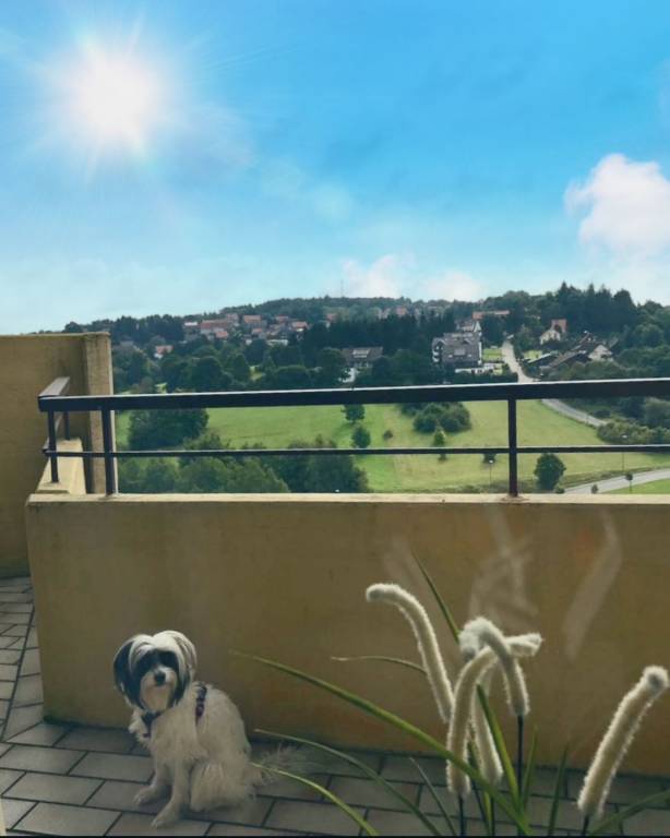 Komfortables Appartement mit Bergblick, Balkon, Pool und Sauna in Braunlage Hohegeiß — photo 3