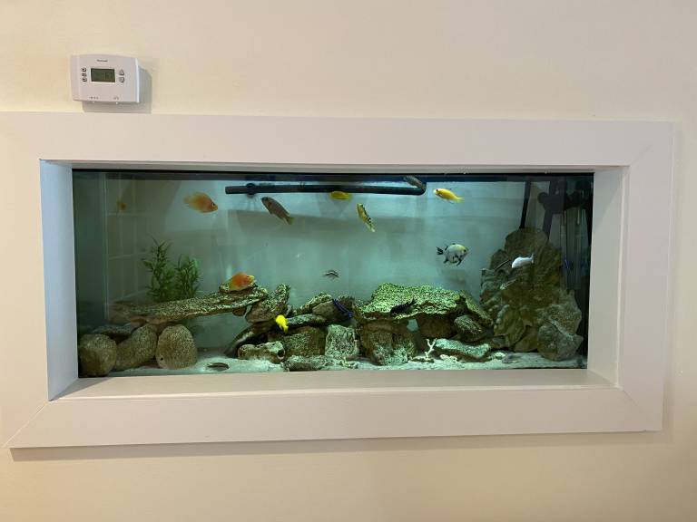 foto7