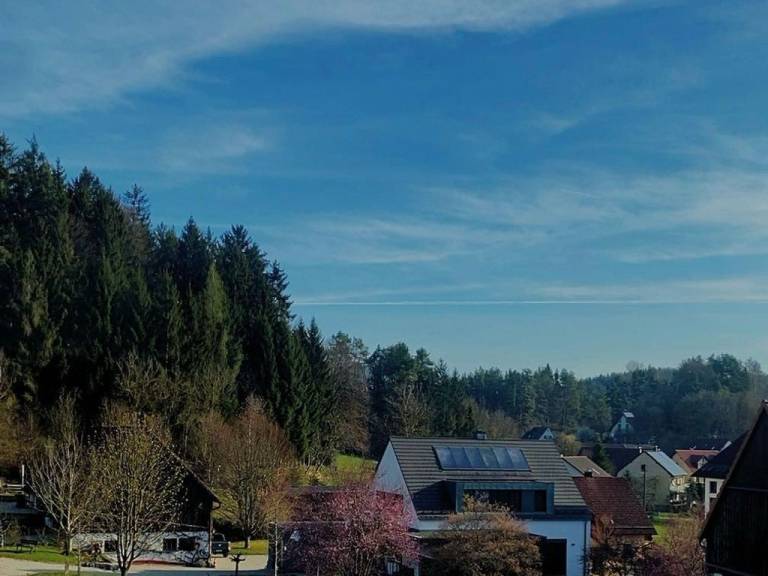 foto13