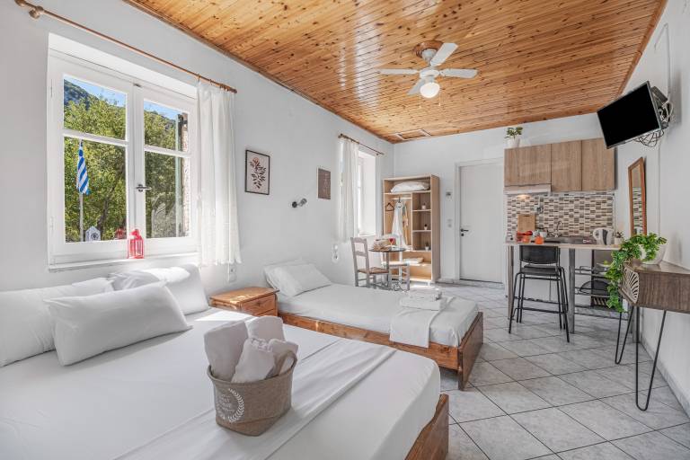 Studio Apartment 'Kerkis Mountain View' with Mountain View, Wi-Fi and Air Conditioning — photo 3