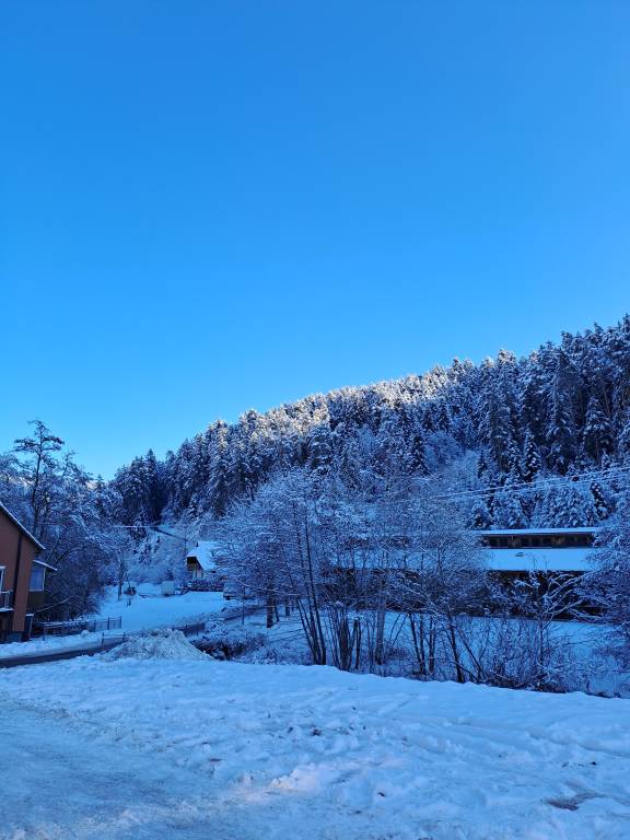 foto13