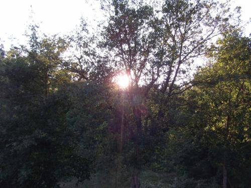 foto14