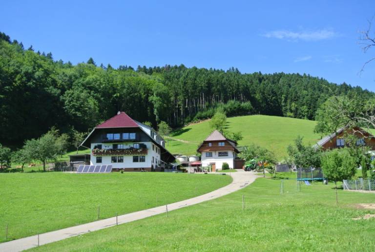 foto16