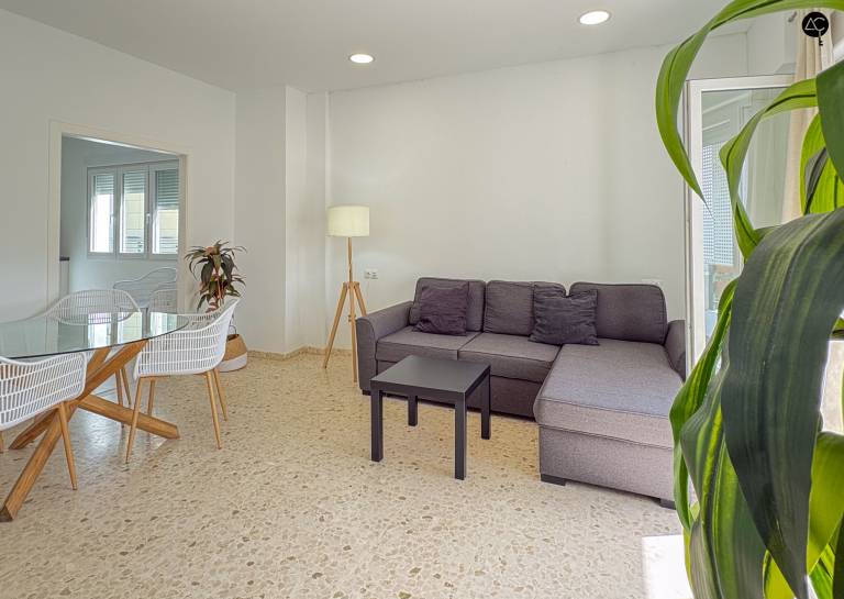 Beautiful rental apartment with terrace | Close to Cádiz Cathedral | Beach nearby | Pets are welcome — photo 5