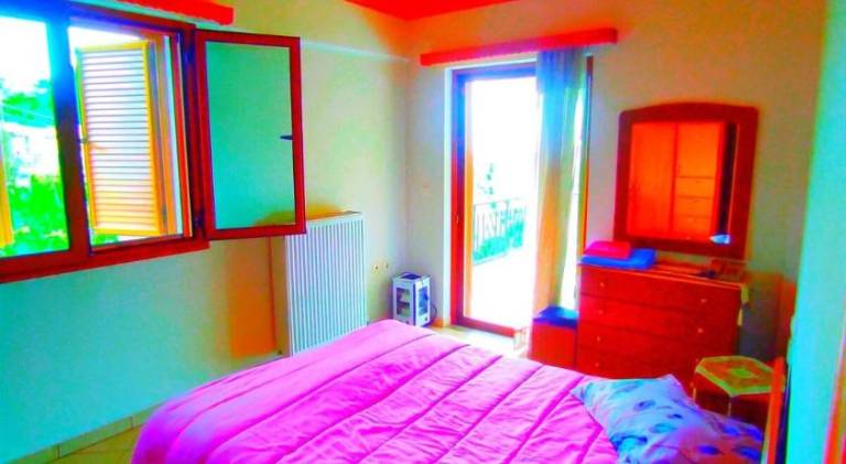 Holiday apartment | Pets are welcome in Zacharo