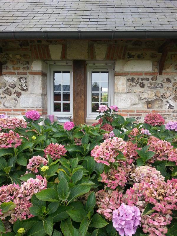 foto23