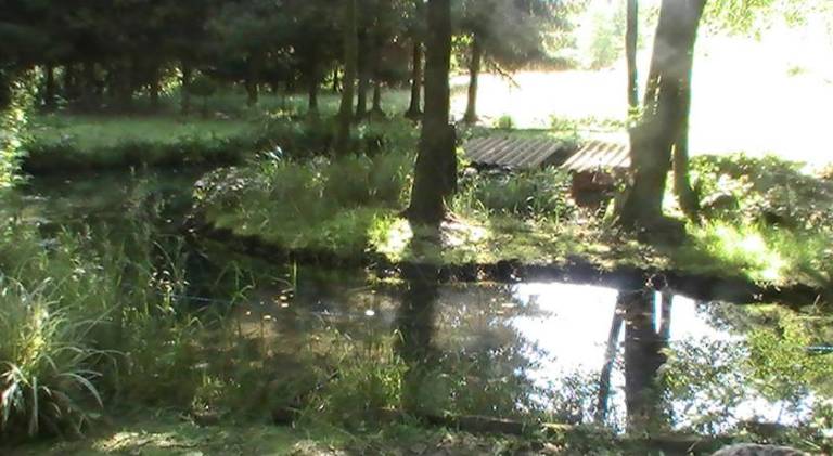 foto13