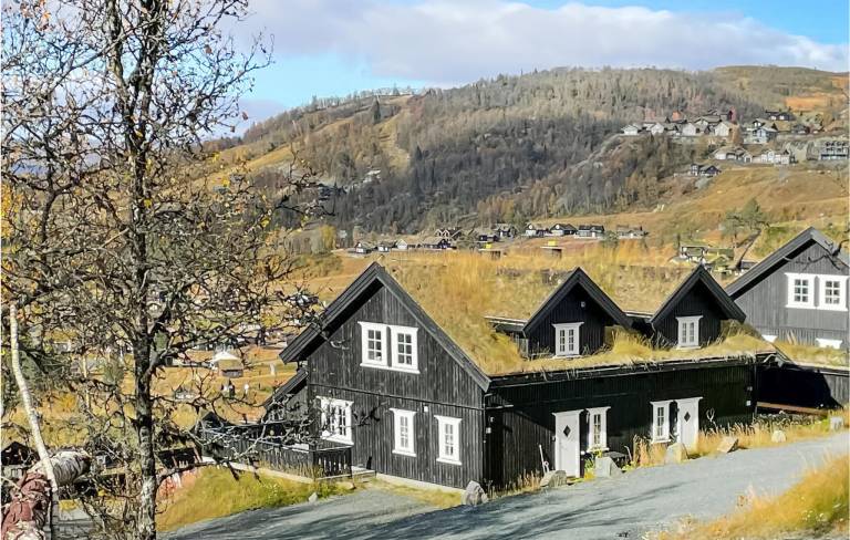 Hus  Vinje