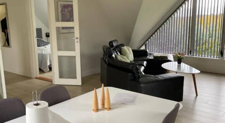 Apartment with terrace & yard in Viborg