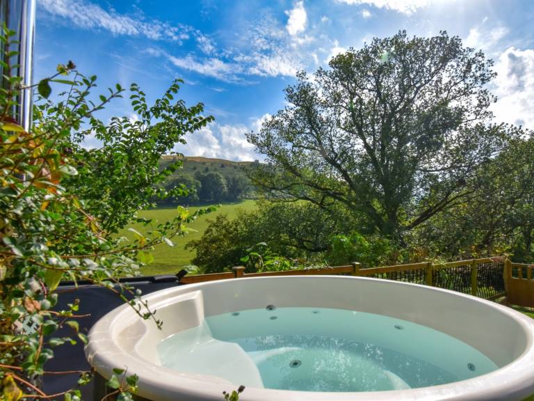 2 Bed in Llangollen 90706