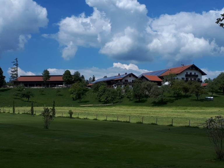 foto14