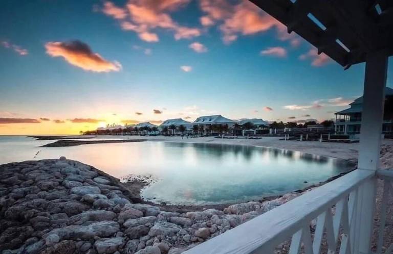 House Palm Cay
