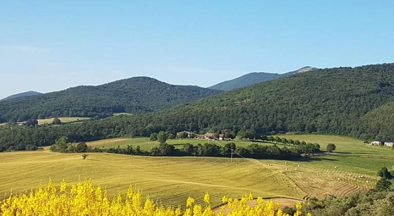 foto14