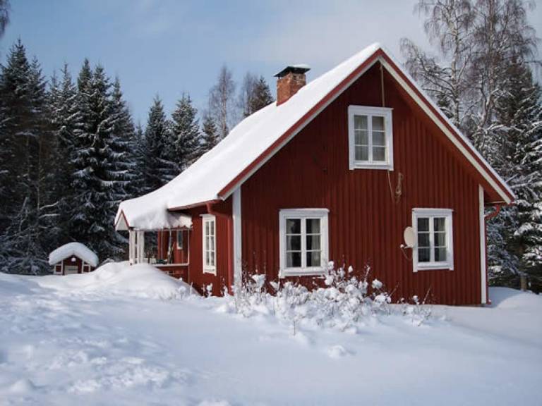 foto1