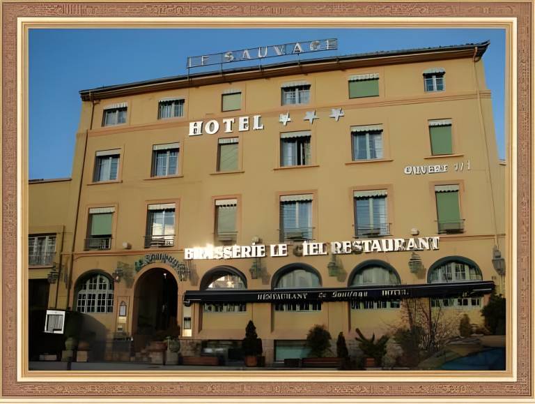 Hotel Le Sauvage in Tournus