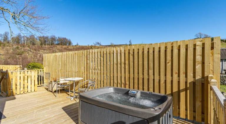 Chalet with hot tub — photo 5