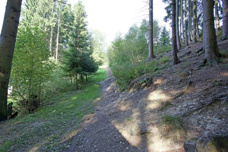 foto17