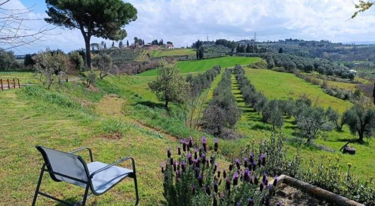 Holiday apartment | Pet-friendly in San Miniato