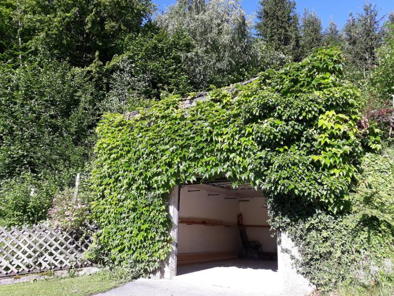 foto17