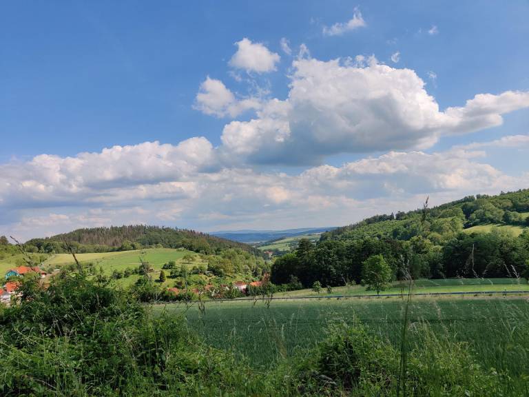 foto19