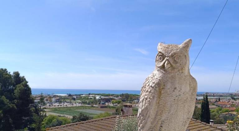 Cave house with sea views — photo 5