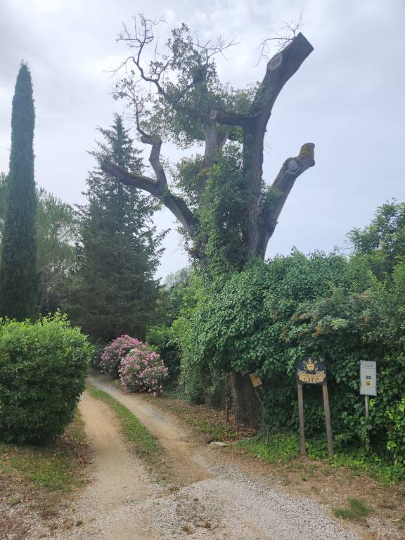foto28