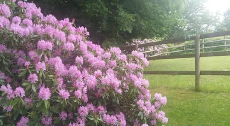 40 m&sup2; Ferienwohnung