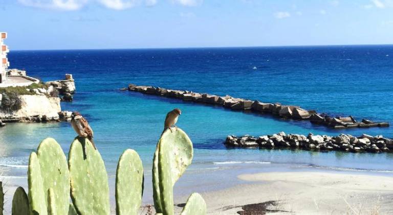 Rental apartment | Beach nearby | Pets are welcome in Giurdignano
