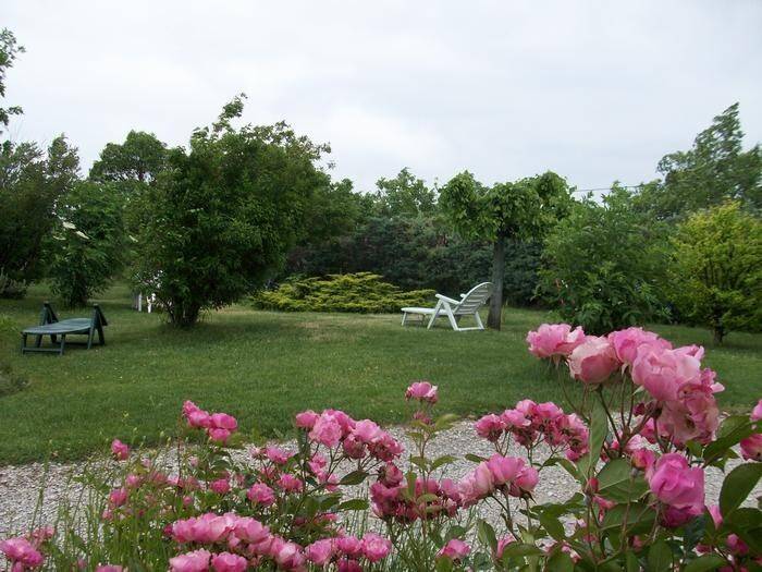 Family-friendly house with barbeque & yard | Nature view | Pets are welcome — photo 5