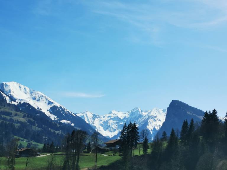 foto14