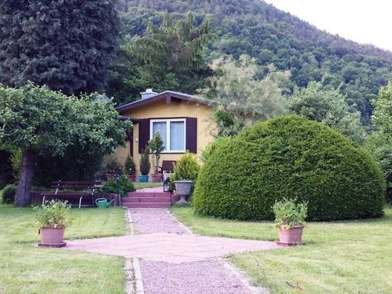 foto16