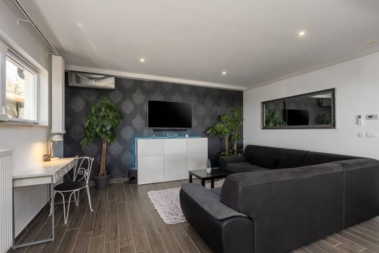 Fully equipped charming vacation home with grill, patio & private pool | Panoramic view | Dogs allowed in Rovinj