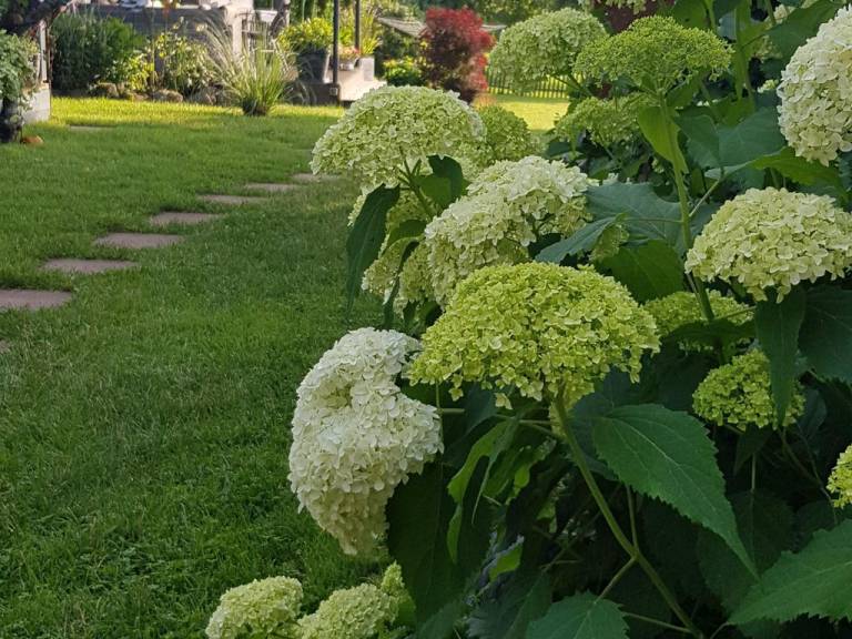 foto21