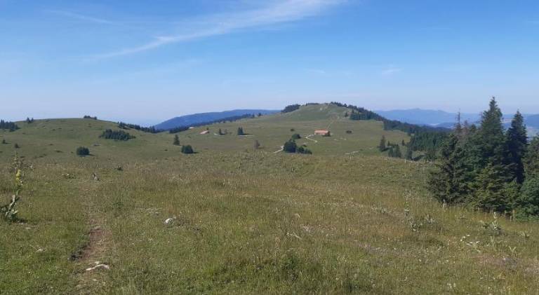 foto6