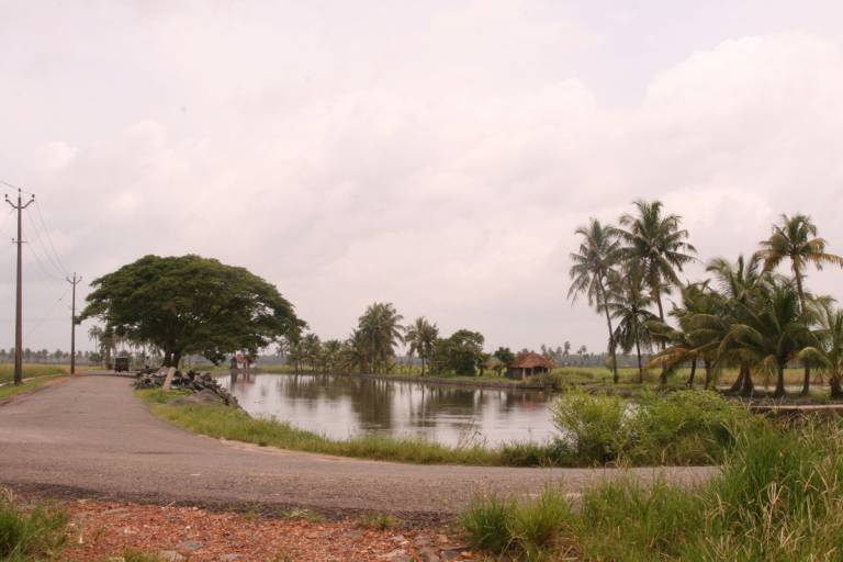foto1