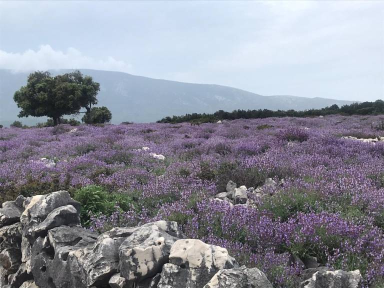 foto45