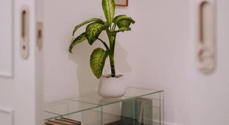 Holiday apartment with 1 room for 2 persons — photo 5