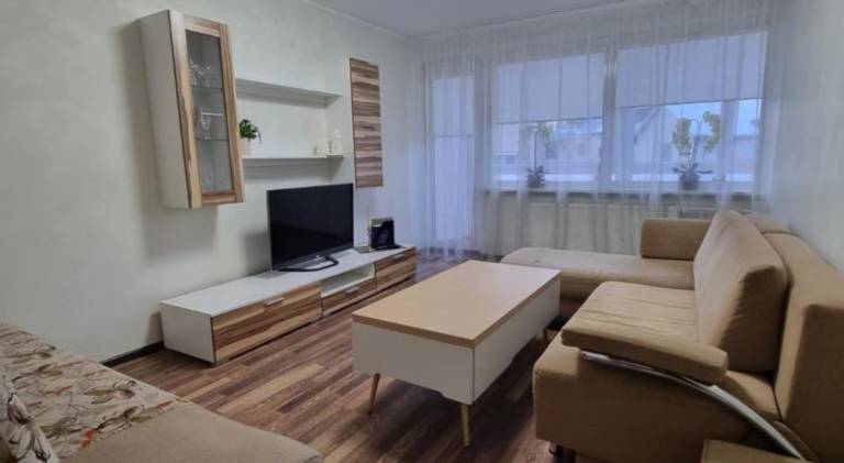 Wonderful apartment | Pets are welcome in Druskininkai