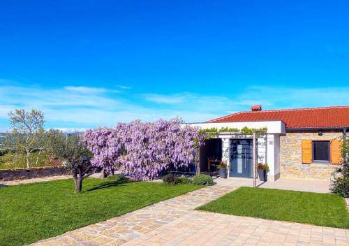 Apartma Plavje