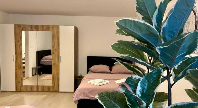 Nice apartment | Pets are welcome in St. Gallen